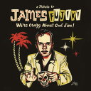 V.A. / We're crazy about Cool Jim! 〜A Tribute to James Fujiki〜【スペシャルBOXセット】