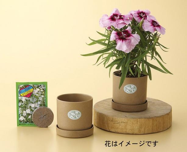 【エコガーデニングセット#28】景品　まとめ買い　DIY・工具・植物