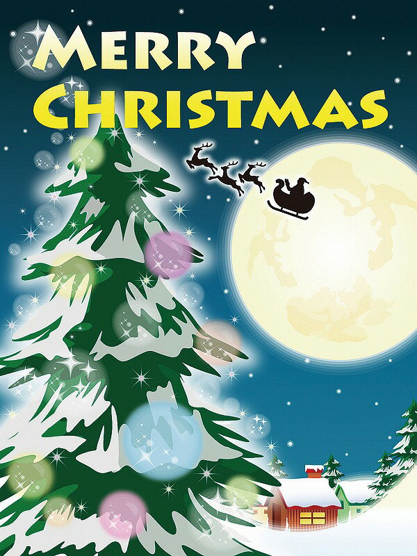 【[店舗装飾品] バックスクリーンシートクリスマスナイト】販促品　店舗用　クリスマスの店舗装飾品