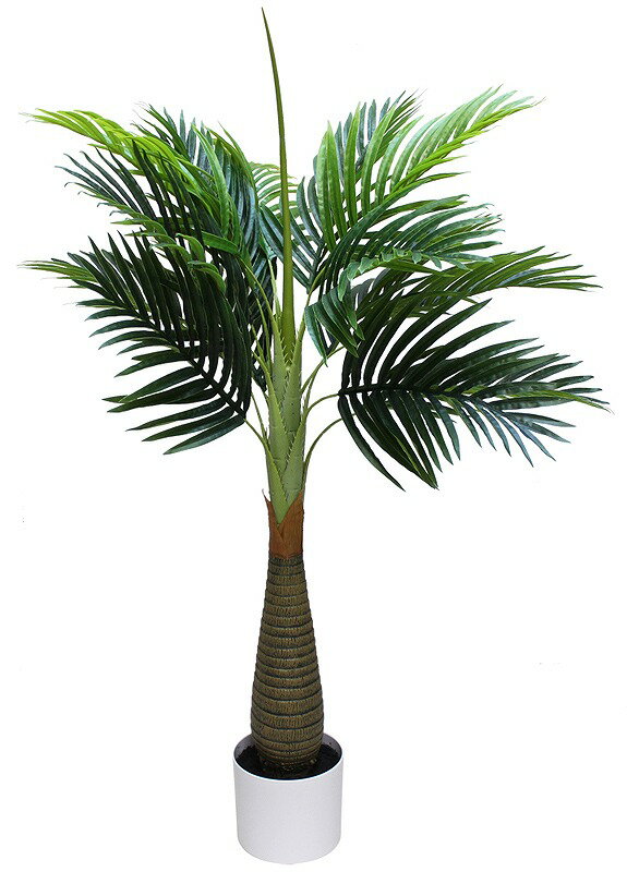【[店舗装飾品] 120cm アレカパームツリー】イベント用品　棚飾りつけ　通年の店舗装飾品
