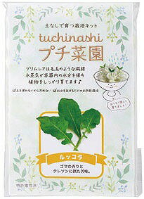 【tuchinashiプチ菜園】ギフト　まとめ売り　DIY・工具・植物