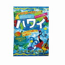 【粉体入浴剤 エステ気分アロマ40g1個(ハワイ)】ノベルティ グッズ　安価　バスグッズ・入浴剤・石鹸