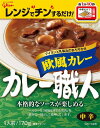 【カレー職人 欧風カレー(中辛)1食