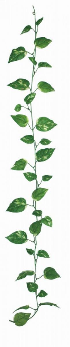 【[店舗装飾品]レギュラーガーランド　ポトス】販促品　店頭飾り　通年の店舗装飾品