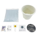 【ミニひまわり栽培キット】景品 まとめ買い DIY・工具・植物