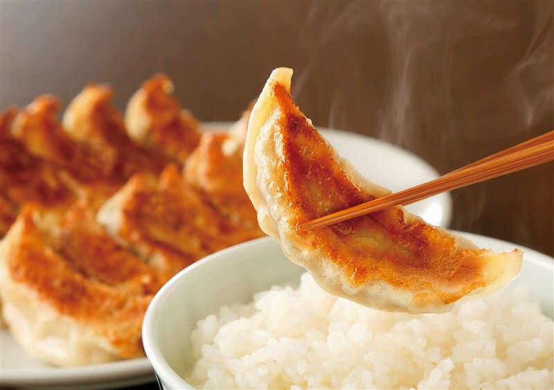 【八王子「信念フーズ」信念手造り餃子】ノベルティ グッズ　のし対応可　食品