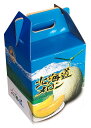 【北海道赤肉メロン1玉】ギフト 法人向け 食品