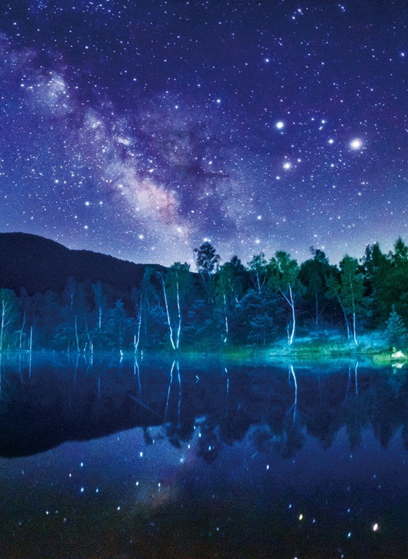 ＼ 店舗 業務用 物販向け　夏の店舗装飾品 / 【[店舗装飾品]　バックスクリーンシート夏の大三角】 ”特..