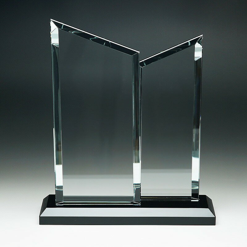 ＼名入れ ロゴ入れ オリジナル　盾・トロフィー・クリスタル/【[サンドブラスト加工代込]　トロフィー　大　WCR-39A　※版代別途】 勤続記念/周年記念