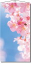 【タペストリー(防炎)桜花びら】販促品 業務用 春の店舗装飾品
