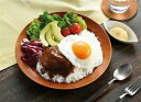 【Aloha! カフェロコモコ2食組】ノベルティ グッズ 包装対応可 食品