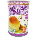 【パンカン!レーズン ※個人宅配送不可】販促 品 勤続記念 非常食品・飲料・調理器具