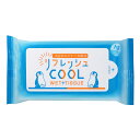 【リフレッシュCOOLウエット(10枚入り)】イベント まとめ買い クールグッズ(4)