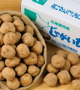 【北海道産男爵じゃがいも詰め放題キット20kg(約20人用)】ギフト お返し 食品