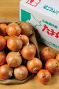 【北海道産玉ねぎ詰め放題キット20kg(約20人用)】ノベルティ グッズ 包装対応可 食品