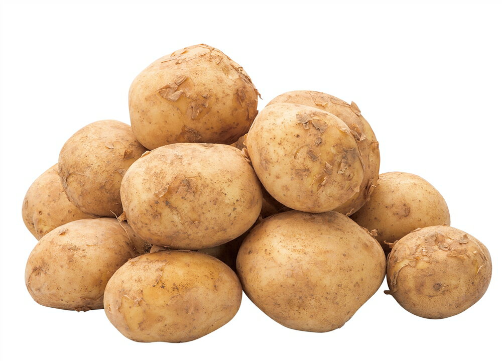 ǰʡʡΥ٥ƥŹ㤨֡ǰ եȡ/Ϥ̣襤 ̳ƻ㤬(˼1kg  ȹ硦ϫƯȹȹؤʡ䵭ǰʤ / ²եߥ꡼ؤ˿͵ξʤ򽸤ޤ ɡפβǤʤ583ߤˤʤޤ