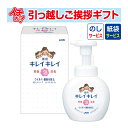  ライオン キレイキレイ薬用泡ハンドソープ250ml 箱入 （のし+手提げ紙袋付） 