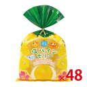 【送料無料(北海道・沖縄除く)】 塩パインゼリー 4個入 YPA-4 48個セット 【代引き不可】