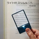 ライト付 スリムルーペ1個【ルーペ 拡大鏡 粗品 景品 ノベルティ 記念品 販促品 プチギフト 賞品 敬老の日 プレゼント 敬老会 ギフト 敬老会 プレゼント ...