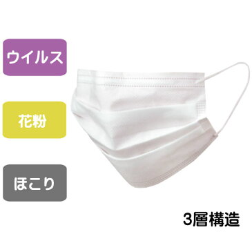 ★【5月上旬から中旬配達予定】【セット販売】3層構造不織布マスク3枚入(10個セット)【ネコポス対応商品】【全国送料無料】【代引き不可】【マスク 使い捨てマスク 不織布 フェイスマスク ウィルス対策 防塵 花粉 飛沫対策 インフルエンザ 風邪 三層構造】