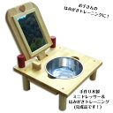 手作り木製ミニドレッサー&はみがきトレーニング