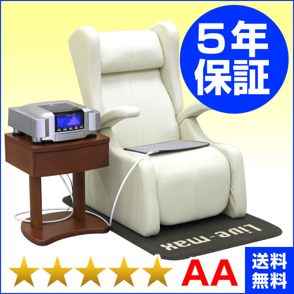 リブマックス12700 ファーストクラス（ココロカ）★★★★★（程度AA）5年保証+1年保証 電位治療器【中古】