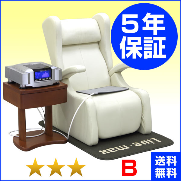リブマックス12700 ファーストクラス（ココロカ）★★★（程度B）5年保証+1年保証 電位治療器【中古】