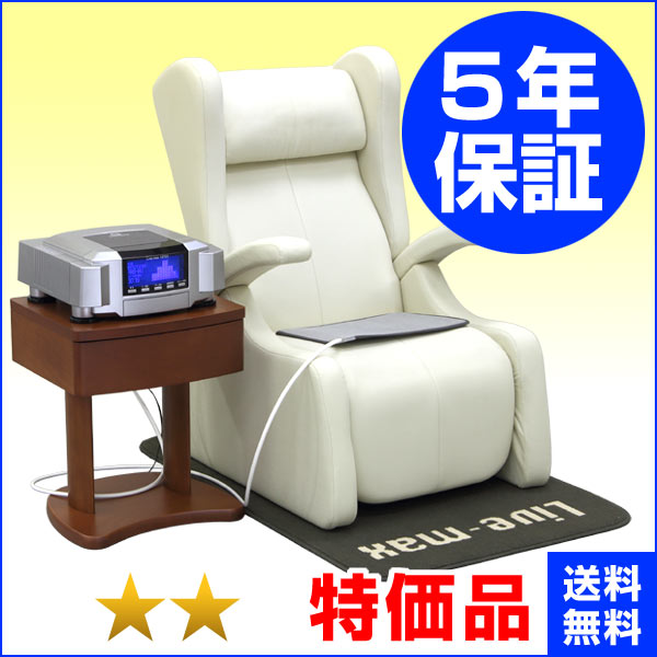 リブマックス12700 ファーストクラス（ココロカ）★★（特価品）5年保証 電位治療器【中古】+1年保証