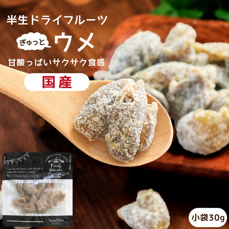 【送料無料】国産 ドライフルーツ 梅 小袋 30g | サクサクとした食感。甘酸っぱいおいしさ。ドライ梅 ドライうめ 古城梅 うめ ウメ 半生ドライ プレゼント ドライフルーツ 果物 フルーツ 南信州菓子工房 プチギフト フォンダンウォーター お菓子 乾燥果実