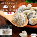 【送料無料】国産 ドライフルーツ 梅 小袋 30g | サクサクとした食感。甘酸っぱいおいしさ。ドライ梅 ドライうめ 白加賀梅 うめ ウメ 半生ドライ プレゼン...