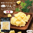 【送料無料】国産 ドライフルーツ りんご（ふじ）大袋 120g ｜ 長野産ふじりんごを一口サイズに ドライりんご ドライリンゴ リンゴ 林..