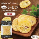 【送料無料】国産 ドライフルーツ レモン 大袋 105g ｜ 輪切り 皮まで美味しく 酸っぱさ控えめ ドライレモン 半生ドライ プレゼント ドライフルーツ 果物 フルーツ 南信州菓子工房 プチギフト フォンダンウォーター お菓子 乾燥果実