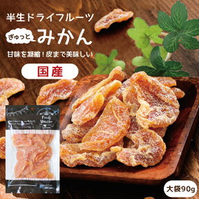 【送料無料】国産 ドライフルーツ みかん 大袋 90g | ギュッと濃縮されたミカンのおいしさ ドライミカン ドライみかん ミカン 蜜柑 オレンジ 半生ドライ プレゼント ドライフルーツ 果物 フルーツ 南信州菓子工房 プチギフト フォンダンウォーター お菓子 乾燥果実