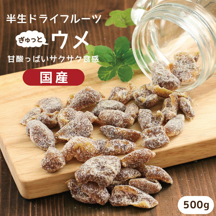 ドライフルーツ 梅 500g | サクサクとした食感。甘酸っぱいおいしさ。 ドライ梅 古城梅 うめ ウメ 大容量 お徳用 お得用 ご自宅用 業務用 南信州菓子工房 半生ドライ 果物 フルーツ フォンダンウォーター お菓子