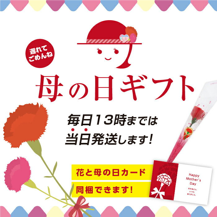 【送料無料】母の日 遅れてごめんね 干し柿 市田柿 800g ご家庭用 大容量 長野県産 花セット プレゼント 新物 お徳用 | 柿 干柿 訳あり お得用 お取り寄せ 果物 旬の果物 スイーツ フルーツ ドライフルーツ 国産 高糖度 信州 ギフト 自然食品 冷凍 GIマーク認証 2026 2