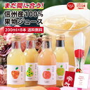 KOMBUCHA～コンブチャエッセンス～ 300ml 【生活の木】