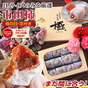 まだ間に合う 母の日 プレゼント 市田柿 干し柿 極 2Lサイズ ギフト 12個入 長野県産 個包装 花セット あす楽 冷凍 | 国産 ワンランク上の贈り物 干...