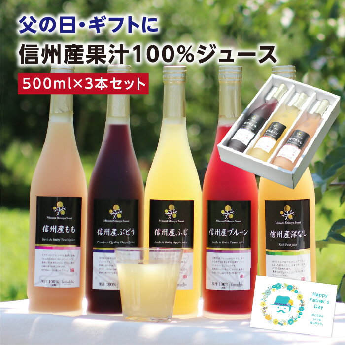 父の日 信州産 100％果物 ジュース 3