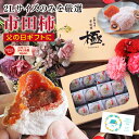 父の日 プレゼント 市田柿 干し柿 極 2Lサイズ ギフト 12個入 長野県産 個包装 冷凍 送料無料 最強翌日配送 | 国産 ワンランク上の贈り物 干柿 食べ物 お取り寄せ 出産祝い 贈答 スイーツ 高級感 フルーツ 果物 ドライフルーツ ブランド柿 GIマーク認証品 2025