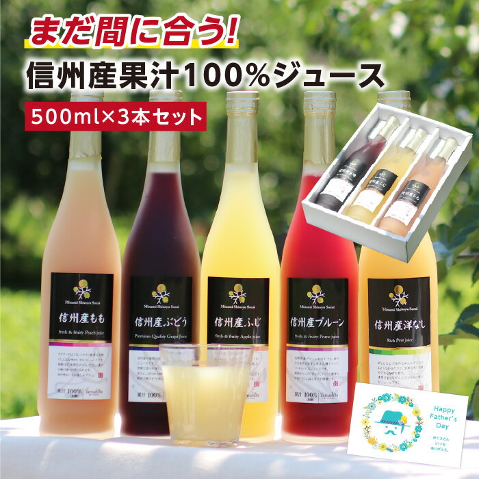 まだ間に合う！父の日 信州産 100％