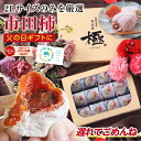 遅れてごめんね 父の日 プレゼント 市田柿 干し柿 極 2Lサイズ ギフト 12個入 長野県産 個包装 お中元 冷凍 送料無料 最強翌日配送 | 国産 ワンランク上の贈り物 干柿 食べ物 お取り寄せ 出産祝い 贈答 スイーツ 高級感 フルーツ 果物 ドライフルーツ ブランド柿 2025
