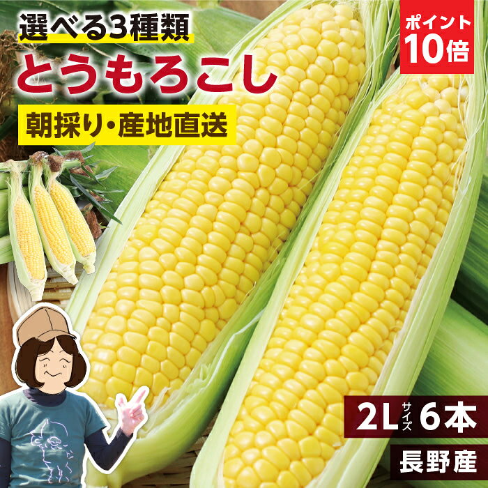 エントリーP10倍長野県産 とうもろこし 2Lサイズ 6本 約2kg 選べる3品種 ゴールデンタイム ゴールドラッシュ わくわくコーン | トウモロコシ 朝採り 鮮度抜群 当日出荷 夏野菜 産地直送 甘い 生で食べられる コーン 冷蔵発送 おいしい 贈り物 ギフト お中元