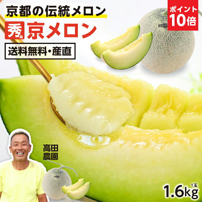 エントリーP10倍京都産 メロン 1.6kg以上 朝採り 京メロン 1玉 2L 秀品 糖度13度以上 産直 砂丘メロン 青肉 -S07G | 美味しい めろん 京丹後産 京たんご 京都メロン 瑞々しい 甘いメロン おいしい 贈答 ギフト プレゼント 贈り物 フルーツ melon 産地直送