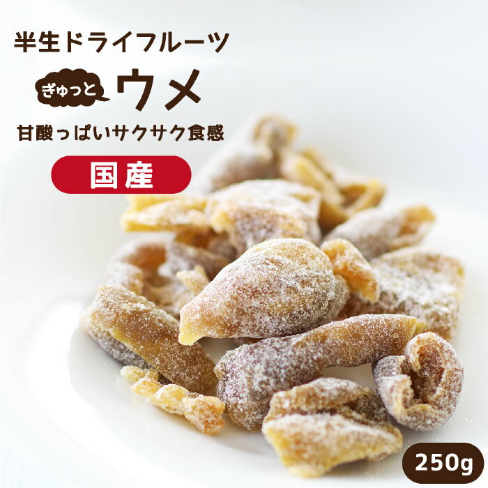 【送料無料 国産】ドライフルーツ 梅 250g | サクサクとした食感。甘酸っぱいおいしさ。古城梅 うめ ウメ 大容量 お徳用 お得用 ご自宅用 業務用 南信州菓子工房 半生ドライ 果物 フルーツ フォンダンウォーター お菓子