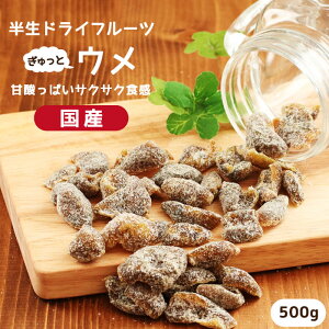 【送料無料 国産】ドライフルーツ 梅 500g | サクサクとした食感。甘酸っぱいおいしさ。 ドライ梅 古城梅 うめ ウメ 大容量 お徳用 お得用 ご自宅用 業務用 南信州菓子工房 半生ドライ 果物 フルーツ フォンダンウォーター お菓子