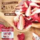 【送料無料】国産 ドライフルーツ いちご 10g 砂糖不使用 無添加 | ドライいちご ドライイチゴ 安心の国内加工 健康 美容 ヘルシー 自然派おやつ 苺 ストロベリー ヨーグルト かわいい プチギフト ギフト フォンダンウォーター お菓子 果物 フルーツ 乾燥果実