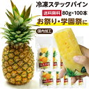 【送料無料】冷凍スティックパイン 100本 国内加工品 | 自然派アイスクリーム アイス 冷凍パイン 冷凍フルーツ 冷凍パイナップル 冷やしパイン お中元 ギフト 業務用 夏祭り お祭り 学園祭 文化祭 出店に！冷凍果実 食材