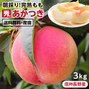 信州・長野産 桃 3kg あかつき 秀品 朝どり即日出荷 -Y07G | 完熟 もも 産地直送 お中元 内祝 贈答 ギフト プレゼント 旬の果物 フルーツ ピーチ おいしい桃 くだもの 甘い桃 化学肥料不使用 葉とらず モモ お取り寄せ 7～11玉 農家指定