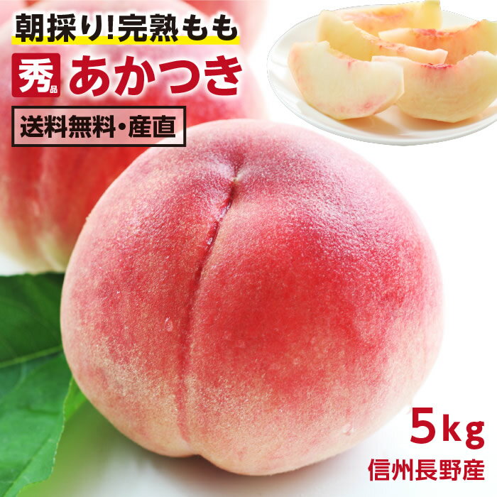 【送料無料】信州・長野産 桃 5kg あかつき 秀品 朝どり即日出荷 | 完熟 もも 産地直送 お中元 内祝 贈答 ギフト 旬の果物 フルーツ ピーチ おいしい桃 くだもの 甘い桃 化学肥料不使用 葉とらず モモ