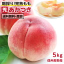 桃 【送料無料】信州・長野産 桃 5kg あかつき 秀品 朝どり即日出荷 -Y07G | 完熟 もも 産地直送 お中元 内祝 贈答 ギフト プレゼント 旬の果物 フルーツ ピーチ おいしい桃 くだもの 甘い桃 化学肥料不使用 葉とらず モモ 取り寄せ 13～18玉 農家指定